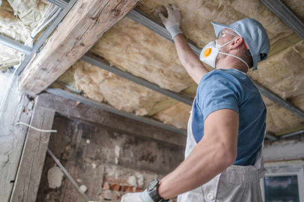 Best Geographic-Specific Insulation Services in Washington, DC