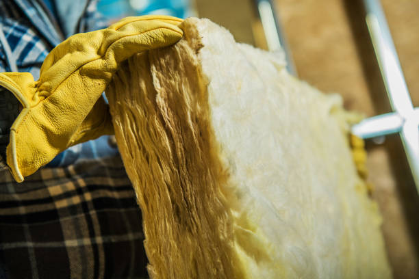 Best Blown-in Insulation in Washington, DC