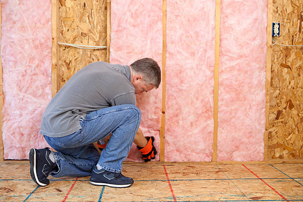 Best Insulation for Specific Applications in Washington, DC