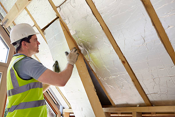 Best Blown-in Insulation in Washington, DC
